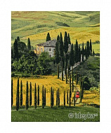Картина по номерам обложка Путешествие в Тоскану 40х50 см
