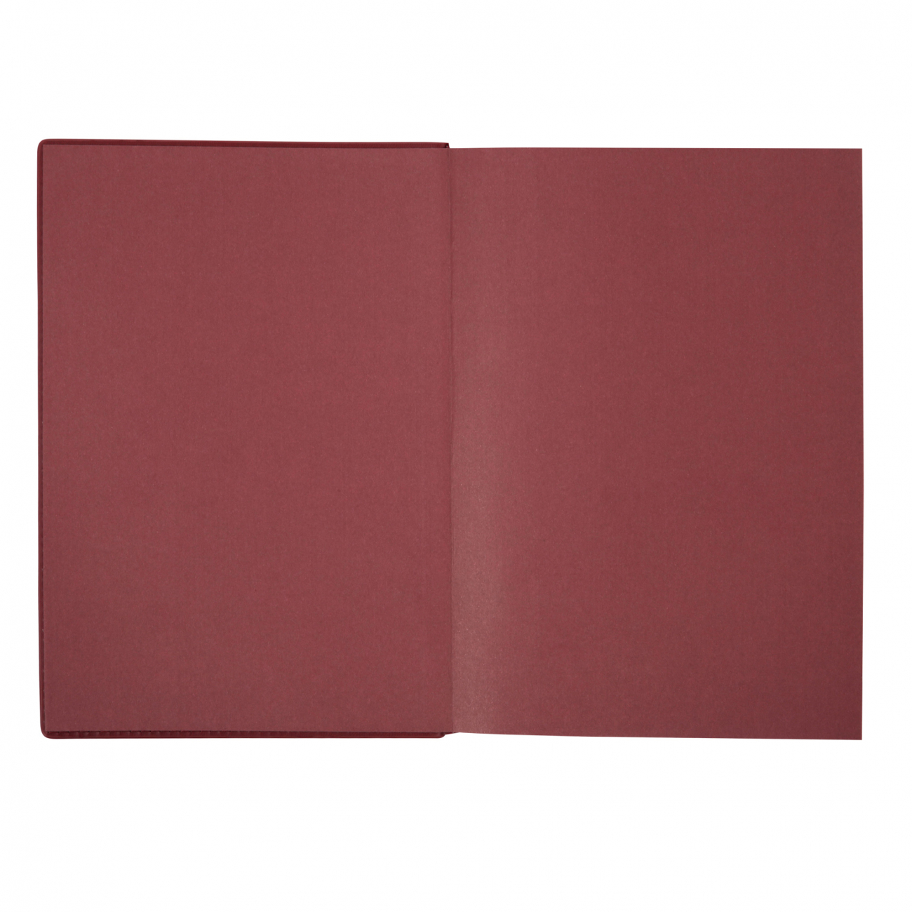 Щоденник дат. Стандарт Credo м'яка обкл. бордовий