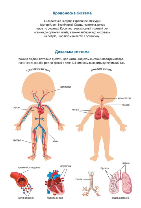 Книга Kids creative Твоє тіло Дівчинка