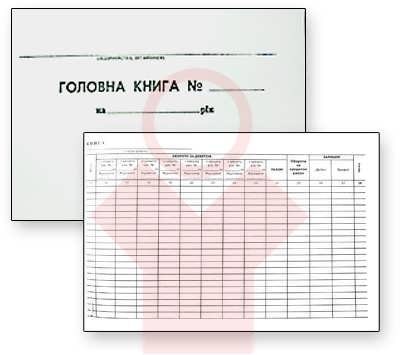 Головна книга А4 офсет 50 арк