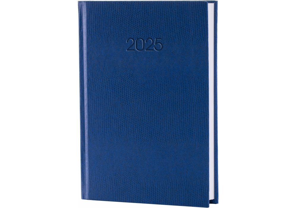 Щоденник датований Стандарт Snake блакитний