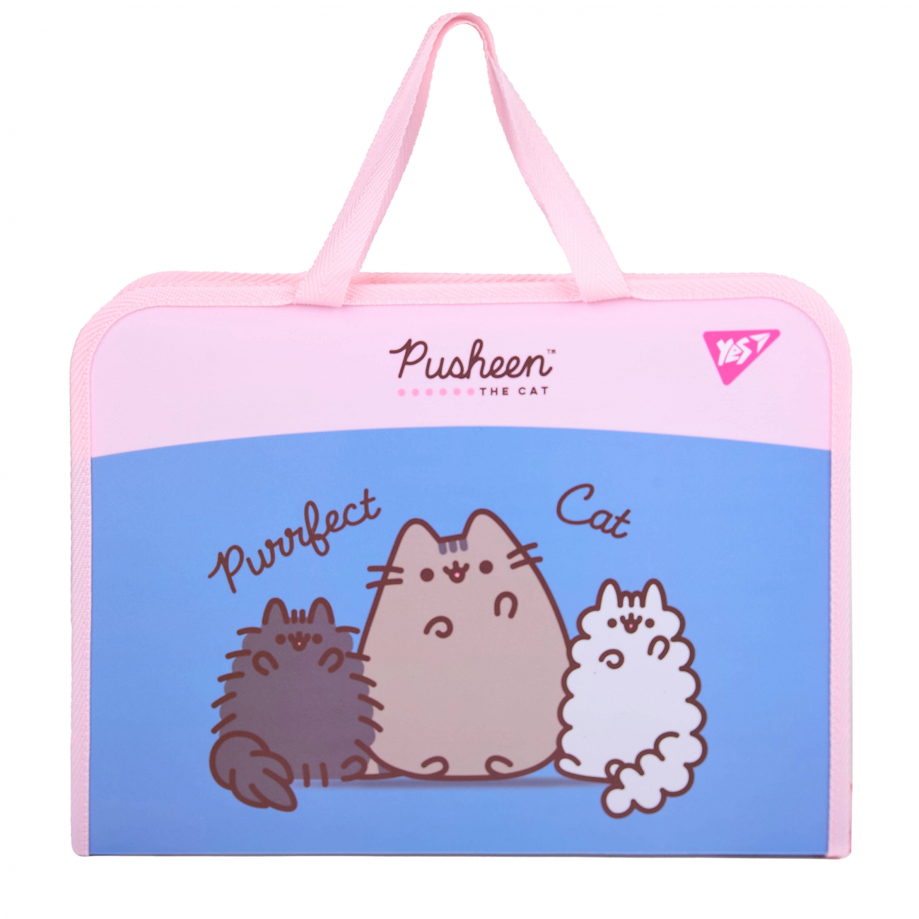 Портфель пластиковий на блискавці FC Yes Pusheen