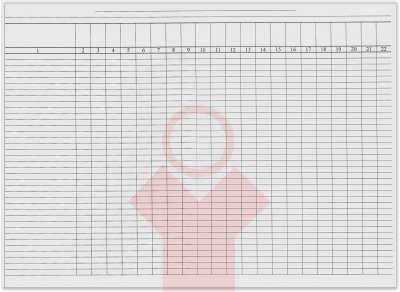 Пустографка А3 газетка 100 арк