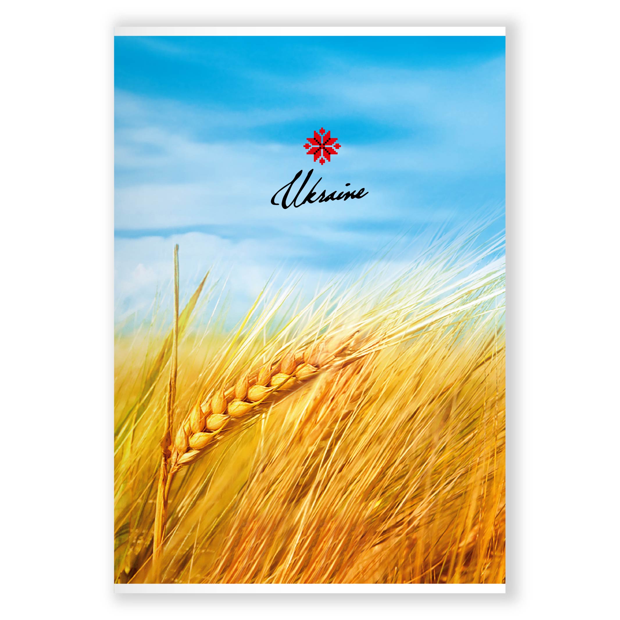 Зошит А4 48 арк скоба клітинка 373 Поле