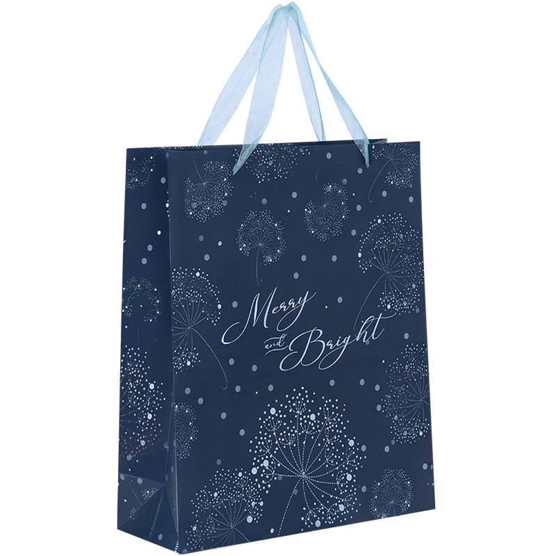 Пакет пластиковий подарунковий 25х19см, Flower Symphony-4