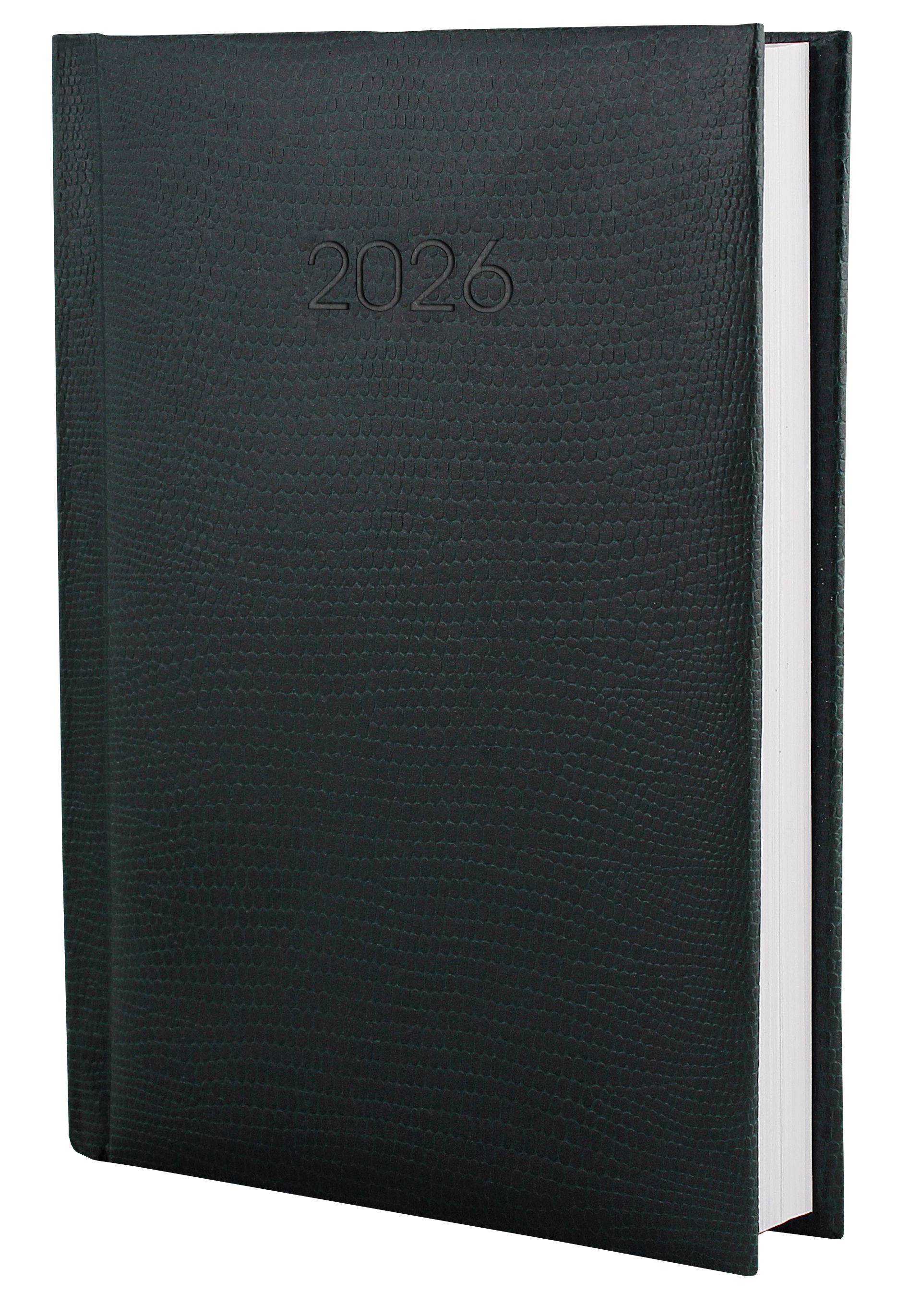 Ежедневник дат. Стандарт Snake зеленый