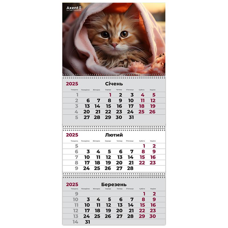 Календар настінний квартальний 3 спіралі 29,7*63 Котик 2