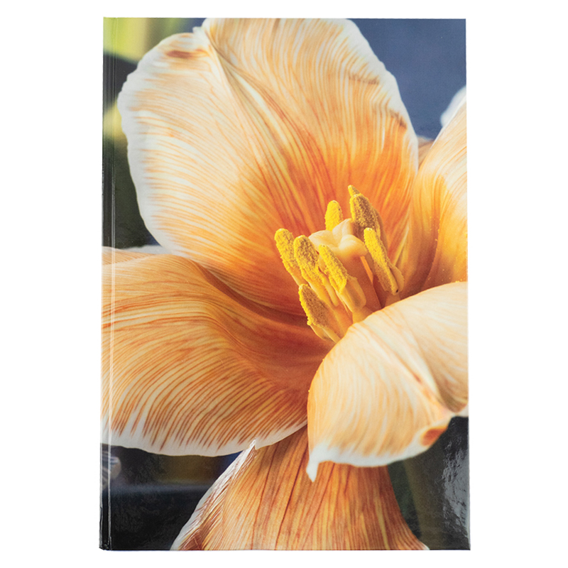 Книга записна А4 192 арк клітинка Flora жовта