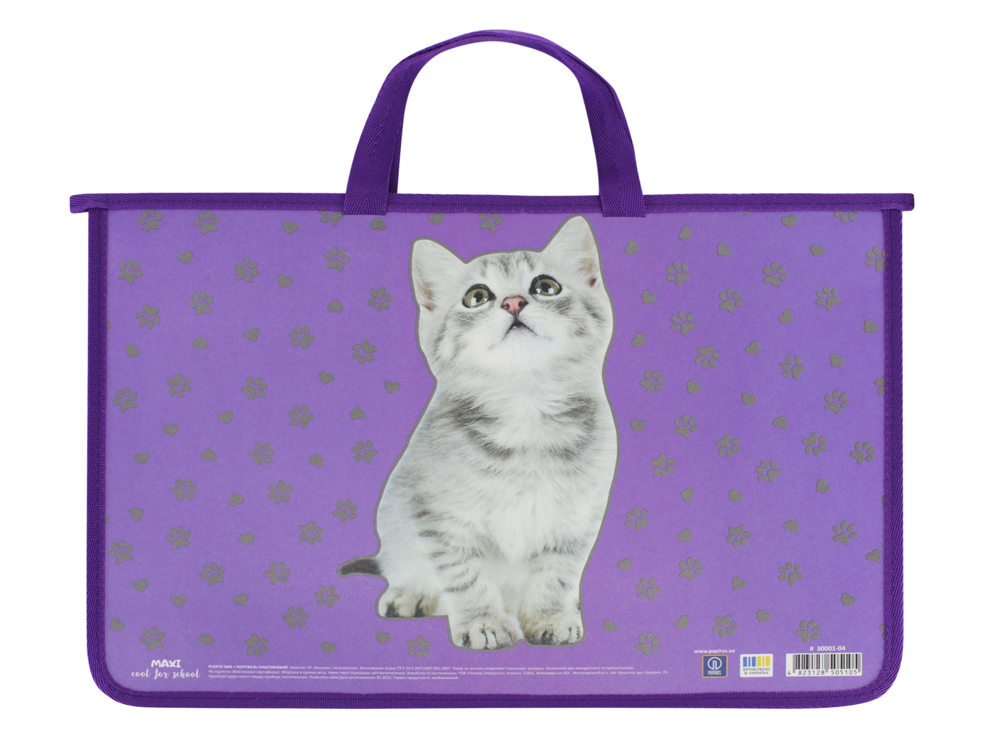 Портфель пластиковий на блискавці А4 Maxi 2 відділення, дів