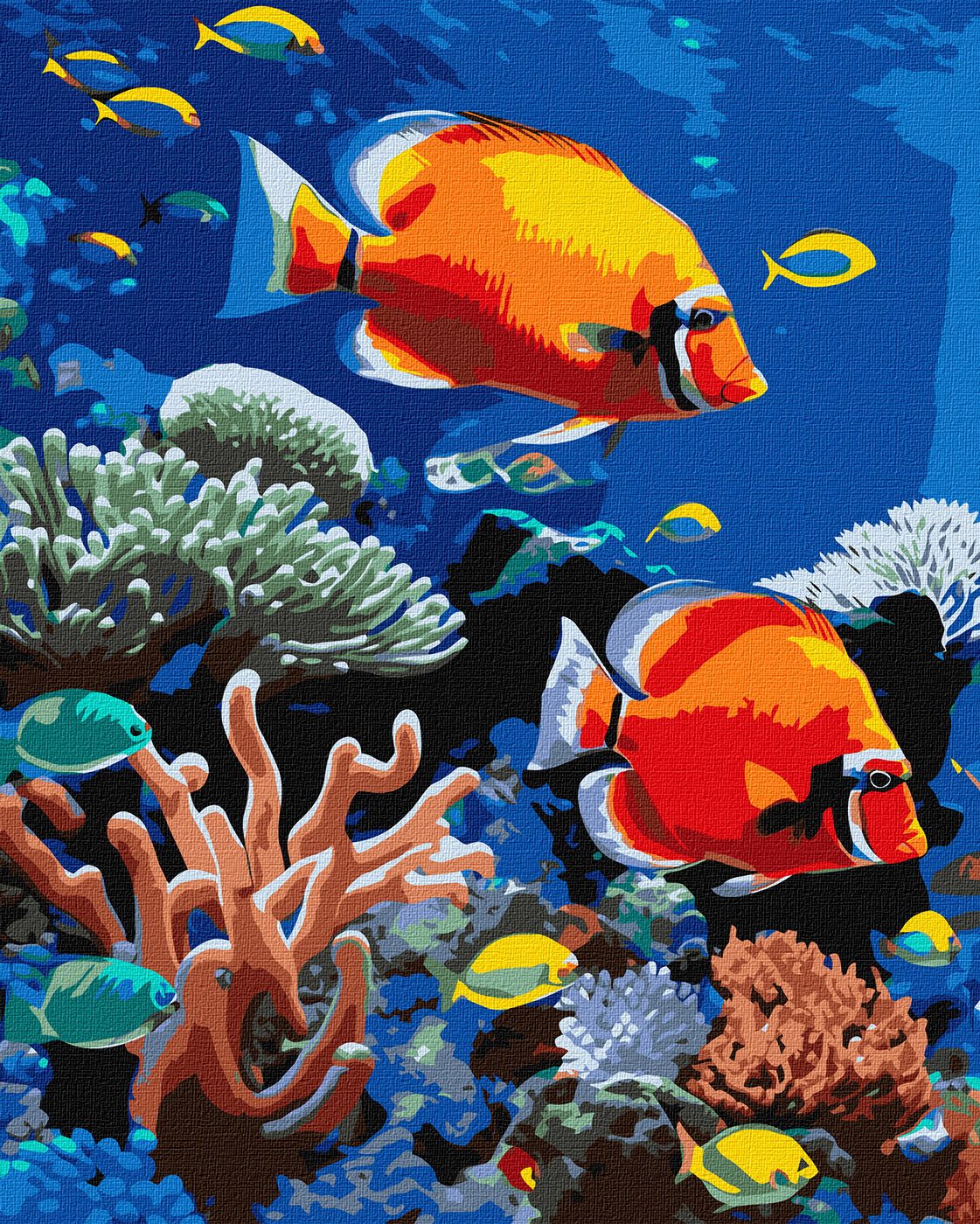 Картина за номерами 40х50 см Яскравий риф