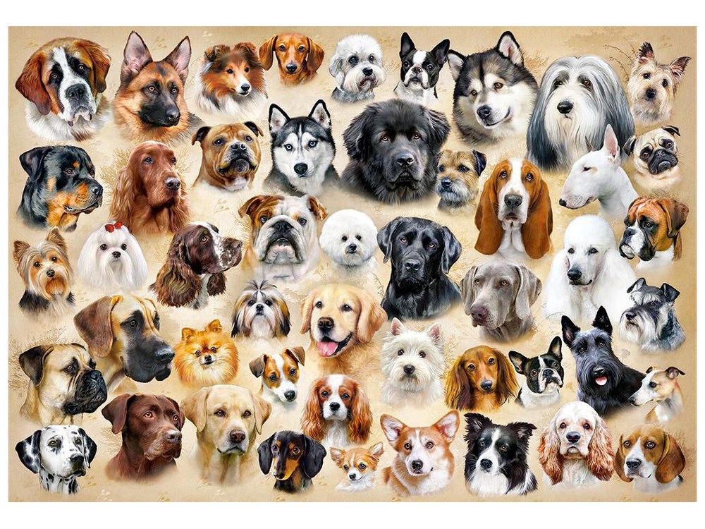 Пазлы 1500 элементов "Породы собак"