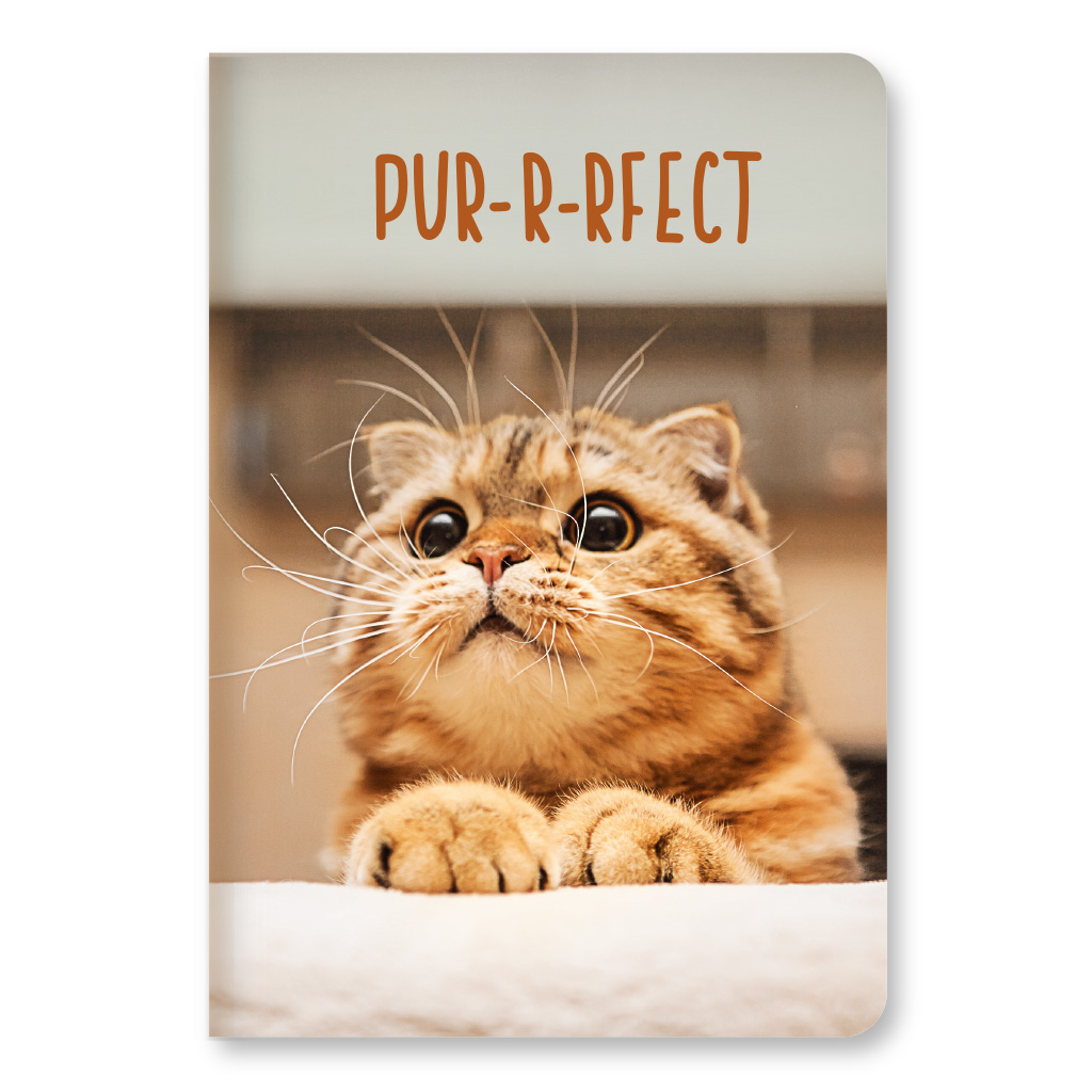 Блокнот А6 96 л инт обл клетка лам Коты 426 Ассорти