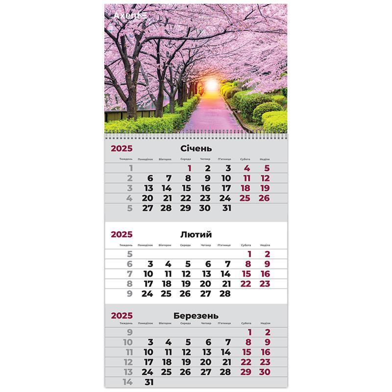 Календар настінний квартальний спіраль 29,7*42 Сад 2