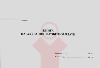 Книга по зарплате А4 газетка 52 л Фолдер