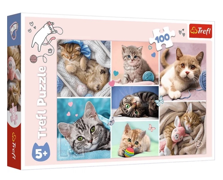 Пазли 100 У котячому світі