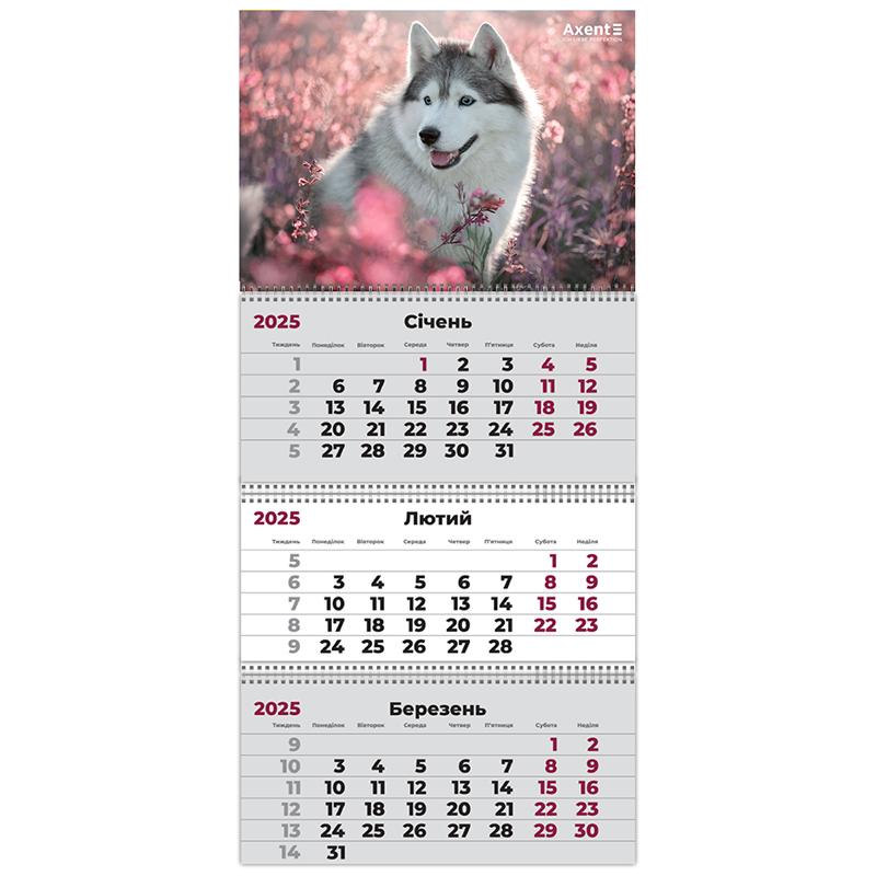 Календар настінний квартальний 3 спіралі 29,7*63 Собаки 2