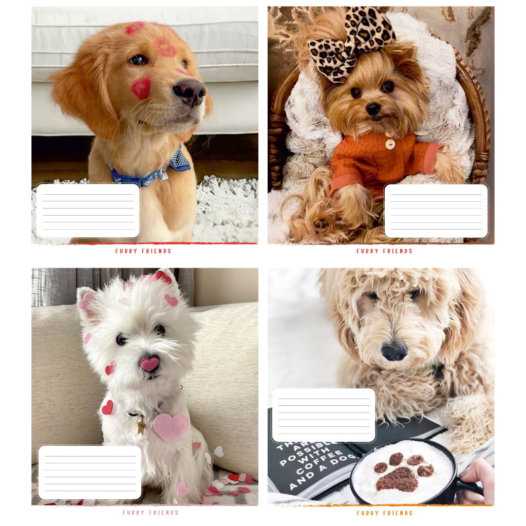 Зошит 12 арк клітинка 137 Пухнастий друг 2025 уні