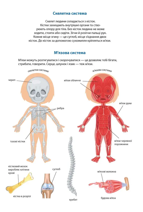 Книга Kids creative Твоє тіло Дівчинка