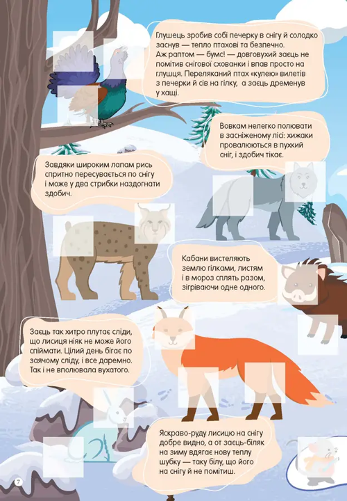 Книга с наклейками Мир вокруг В лесу