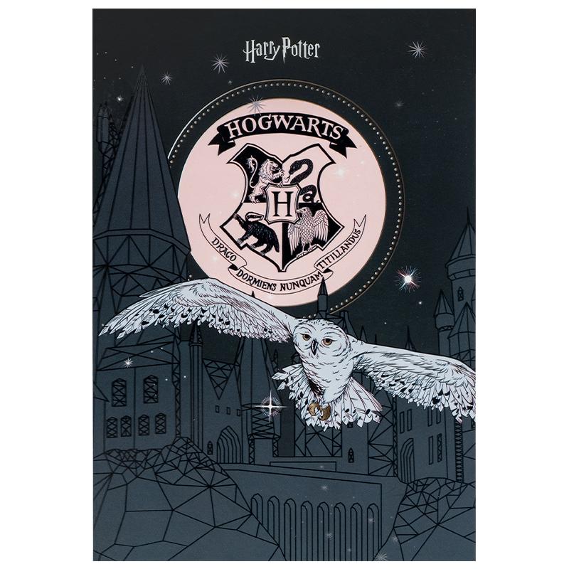 Блокнот А5 50 л клеевое крепл клетка HP-1