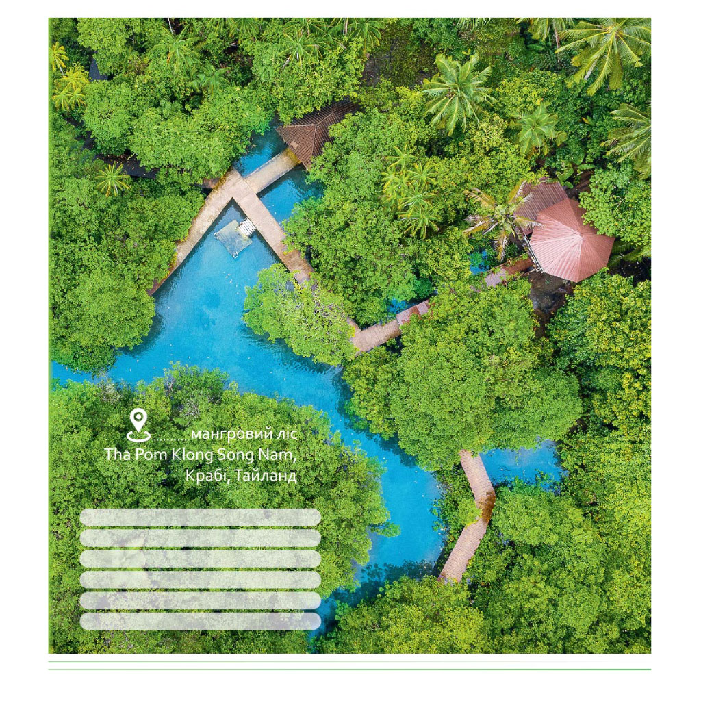 Зошит 36 арк клітинка 923 На воді 2025 уні