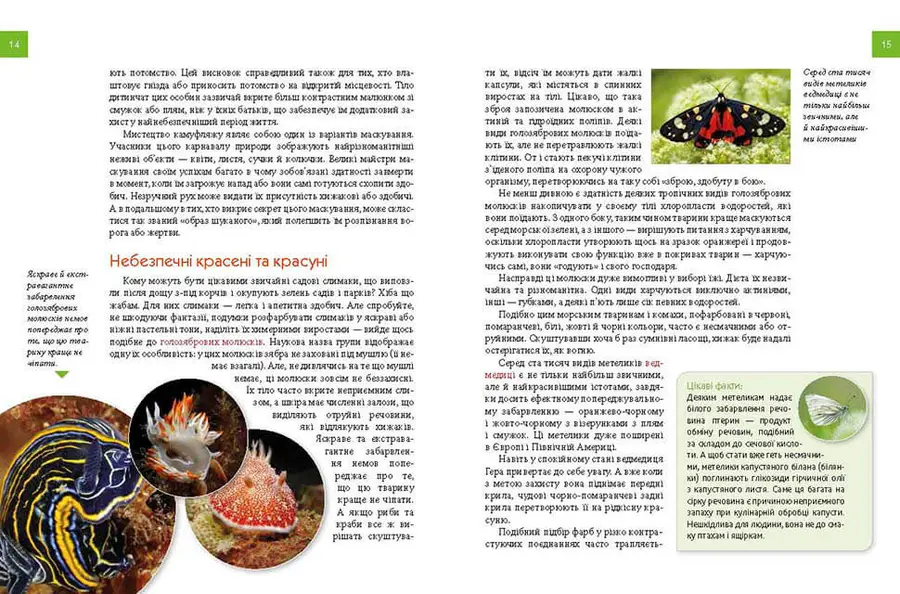 Книга Енциклопедія для допитливих Тварини - майстри маскування