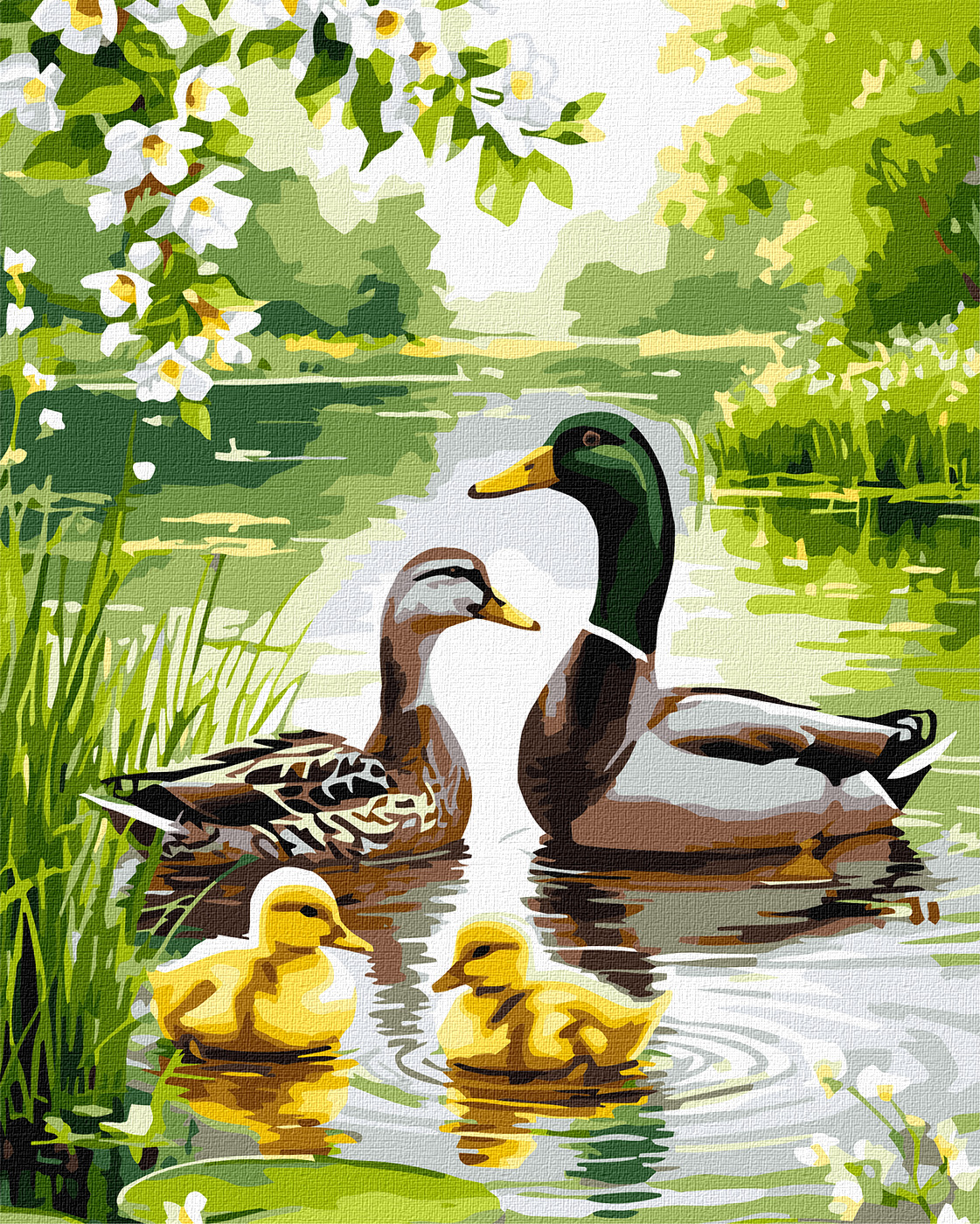 Картина за номерами 40×50 см Качина родина на світанку