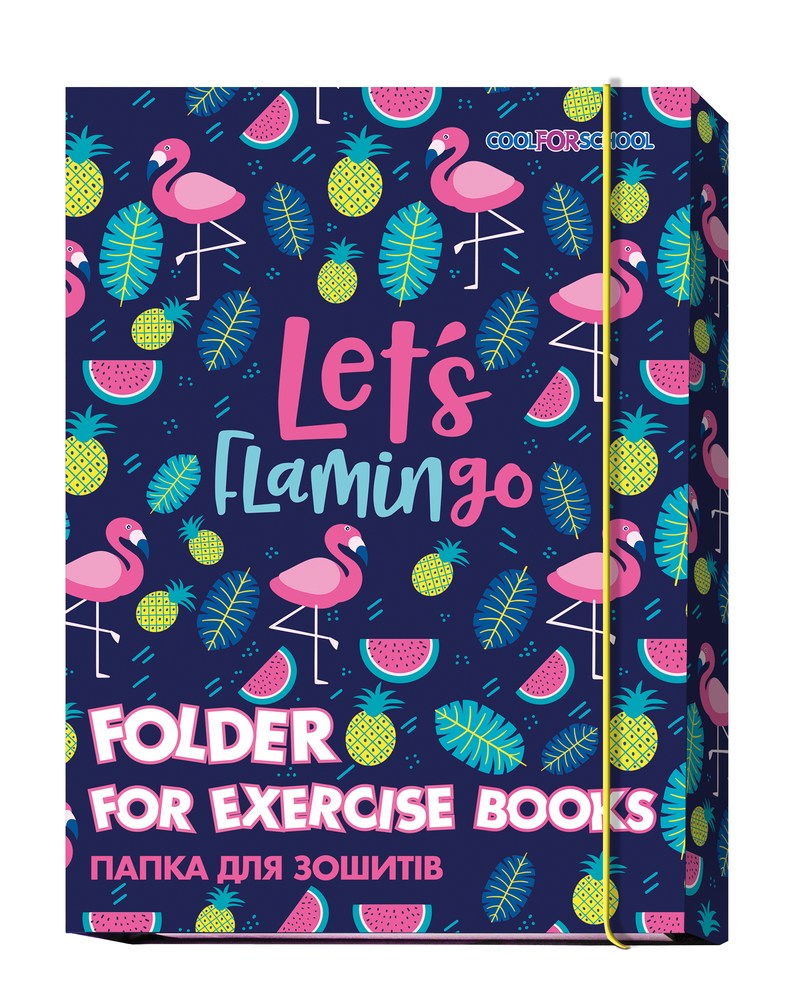 Папка для тетрадей на резинке В5 лам. картон CoolForSchool, д