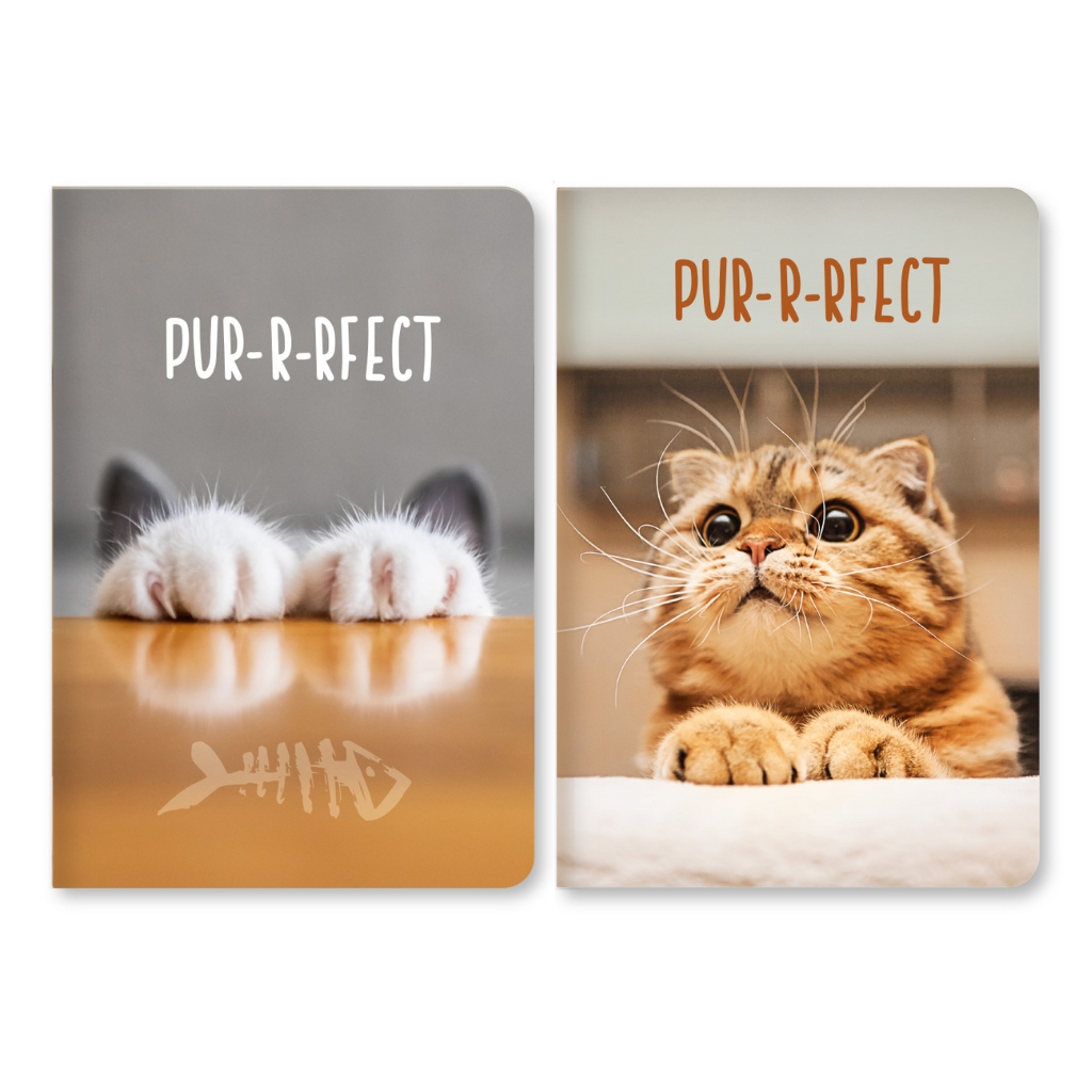 Блокнот А6 96 л инт обл клетка лам Коты 426 Ассорти