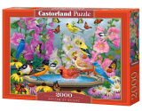 Пазл Castorland 2000
