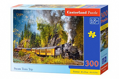Пазл Castorland 300