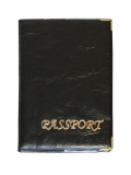 Обкладинка для закордонного паспорту золото