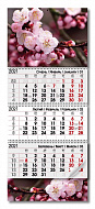 Календарь настенный квартальный 3 спирали 29,7*72,5 Сакура