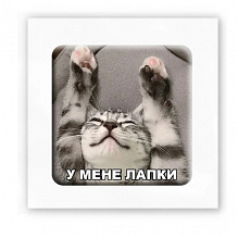 3D-стікер "У мене лапки" (4)
