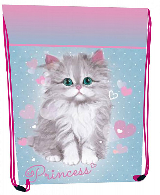 сумка для взуття, 46х33см, поліестер, "Princess Cat", 2434C