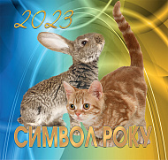 Календар  настінний Символ року (Преса України)