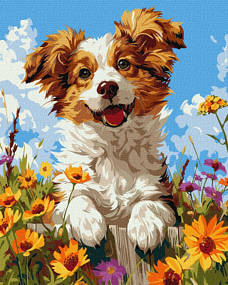 Картина за номерами Собака у квітах Happy Pets 40х50 см