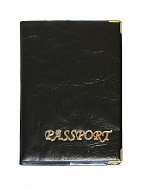 Обкладинка для закордонного паспорту золото