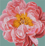 Картина за номерами обкладинка Pink kiss 40*40 см