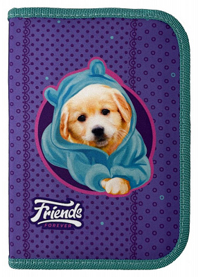 пенал 2-яр. пустий, поліестер, "Friends", 24301C