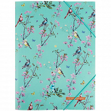 Папка на гумках А4+ OS Spring (4)