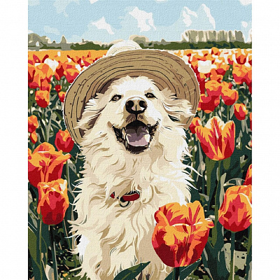 Картина за номерами Щасливий лабрадор Happy Pets 40х50 см