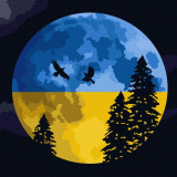 Картина за номерами обкладинка Під вільним неб...