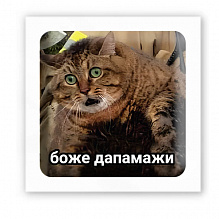 3D-стікер "Боже дапамажи" (4)