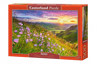 Пазл Castorland 500 (3)
